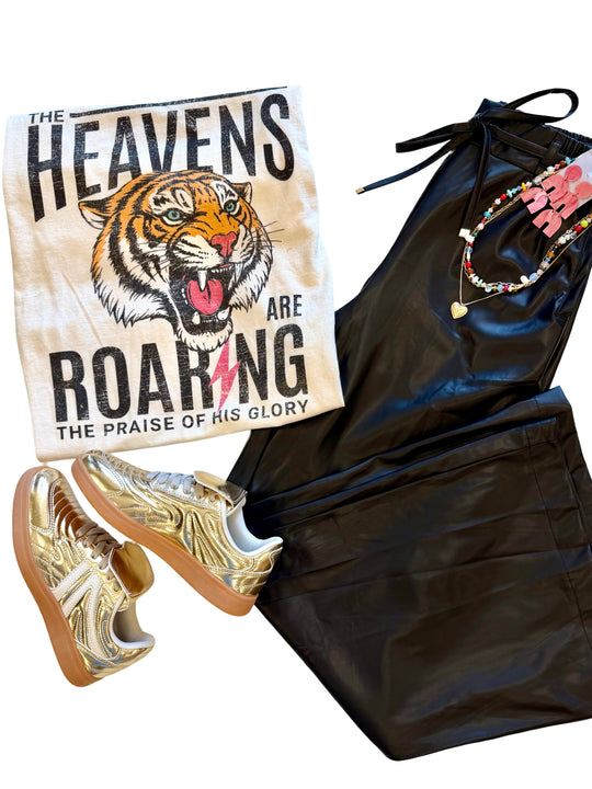 The Heavens are Roaring Graphic