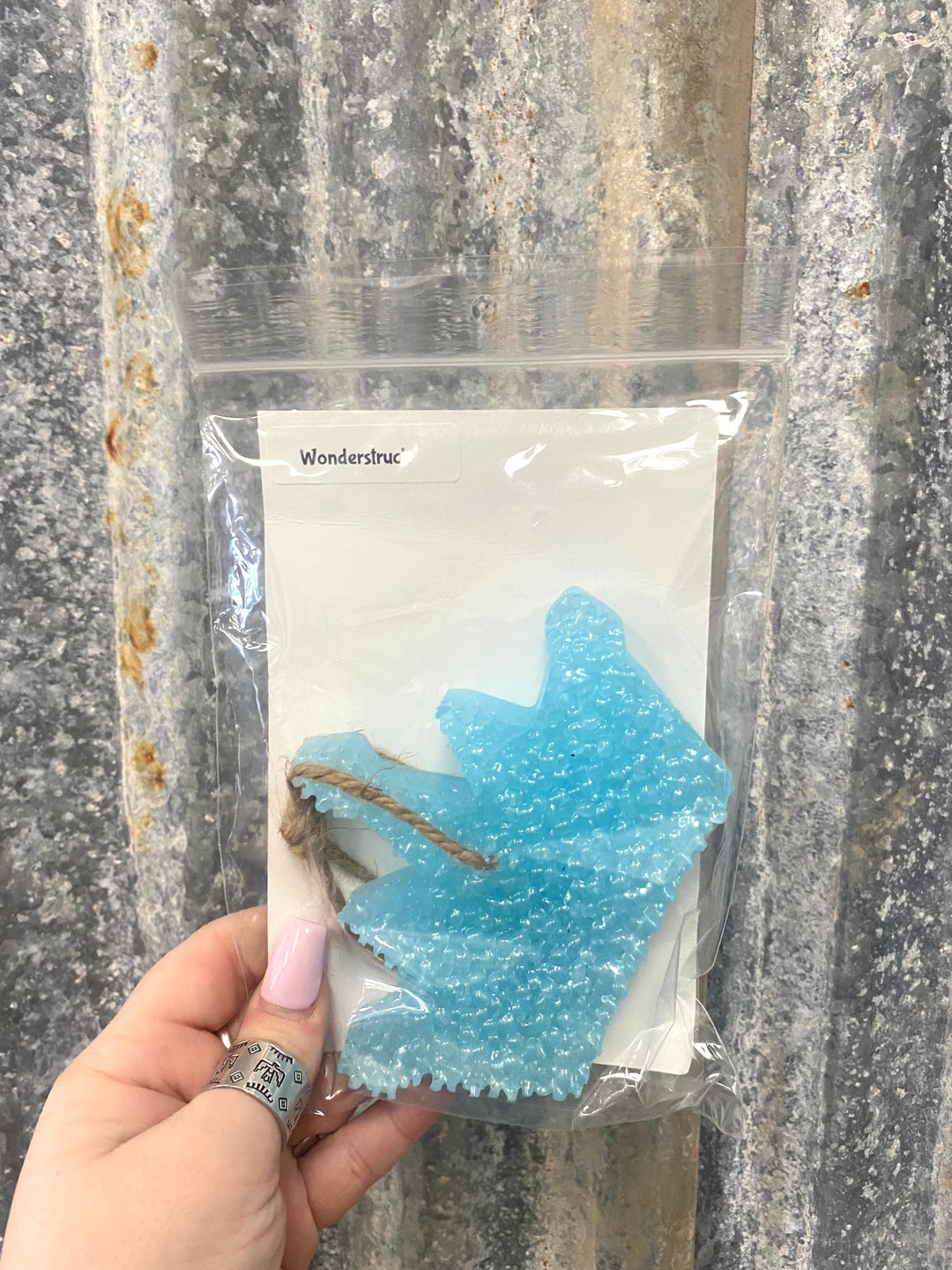 Wonderstruck  Air Freshener